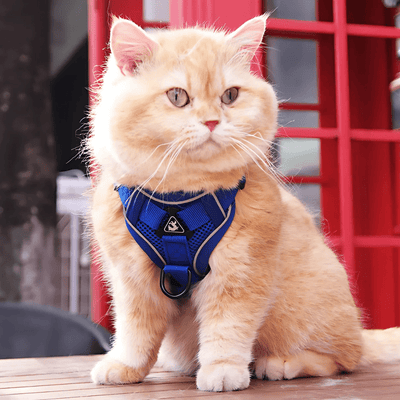 Cat Harness - Comfort and Safety - Pet Your Best