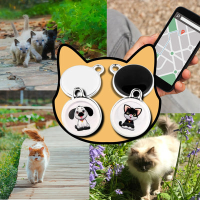 Digital GPS tracker for cats - Pet Your Best