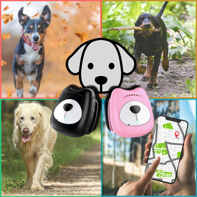 Digital GPS tracker for dogs - Pet Your Best