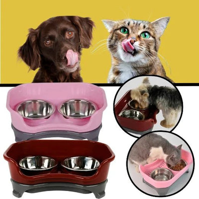 Dogs and cats food bowls - Pet Your Best