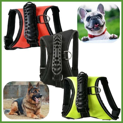 Dogs harness - Pet Your Best