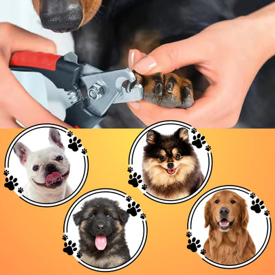 Dogs nail clipper - Pet Your Best