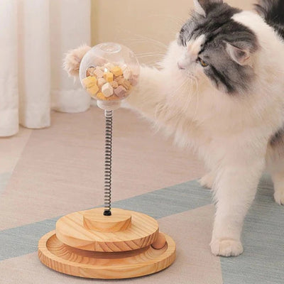 Educational treat dispenser for cats - Pet Your Best