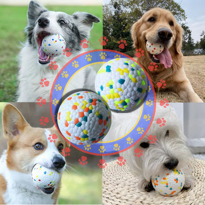 Interactive outdoor ball for dogs - Pet Your Best