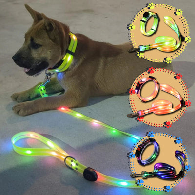 LED light - up collar and Leash for dogs and cats - Pet Your Best