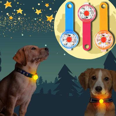 LED pendant for dogs - Pet Your Best