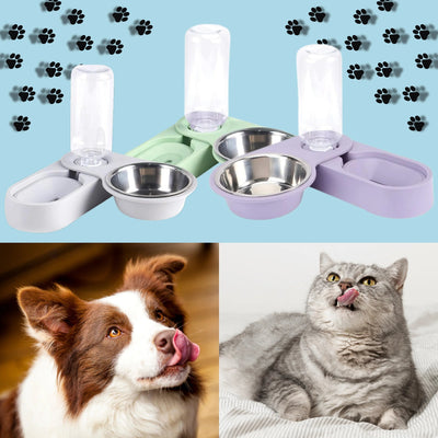 Modular double bowl with integrated reservoir for dogs and cats - Pet Your Best