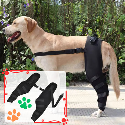 Support Splint for Dogs - Pet Your Best