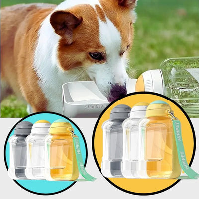 Water bottle with integrated bowl for dogs - Pet Your Best